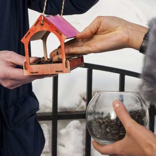 Проект "Добрая кормушка"