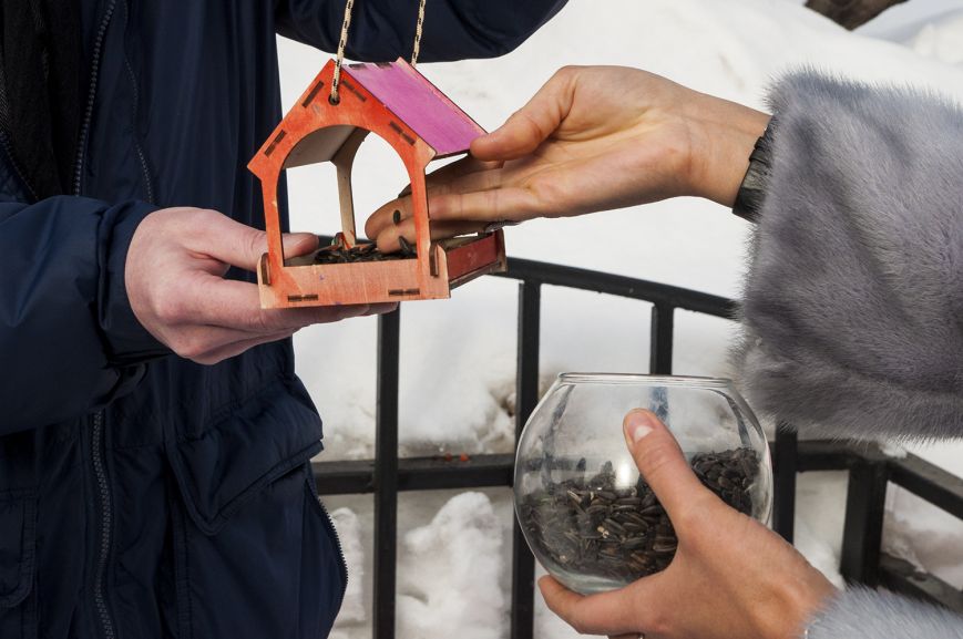 Проект "Добрая кормушка"