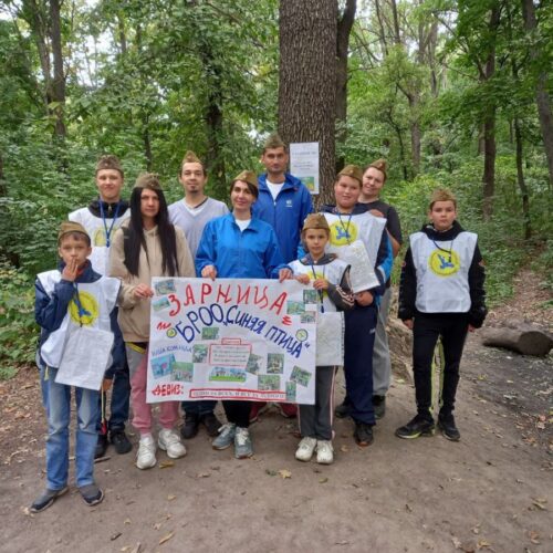 Сентябрь 2022 в Синей птице