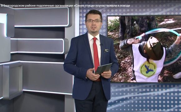 Снимок экрана 2026-04-02 160910